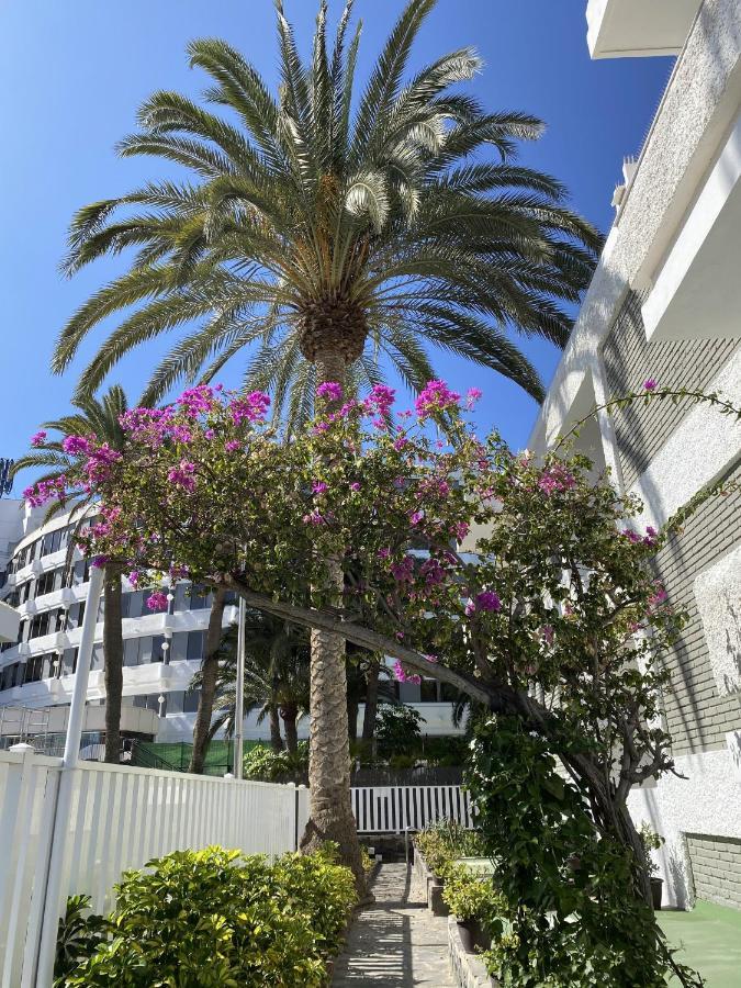 Oasis Playa Maspalomas Маспаломас Экстерьер фото